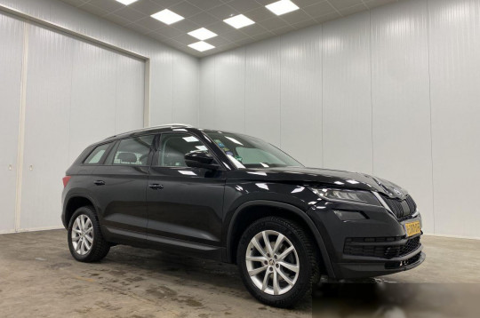 Skoda Kodiaq, 2019